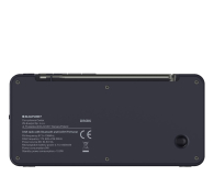 BLAUPUNKT DR6BK - 1363301 - zdjęcie 4